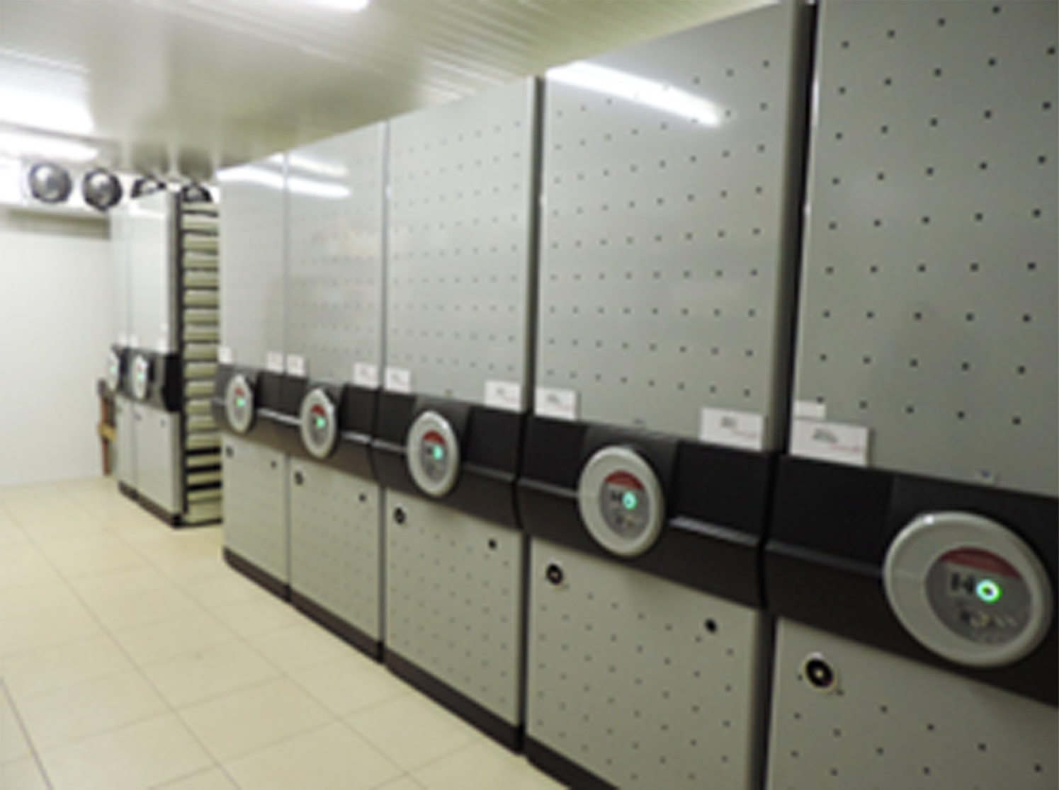 banco de germoplasma